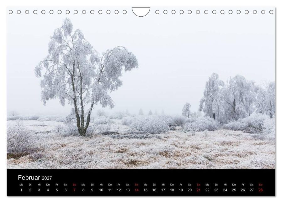 InsideView 7