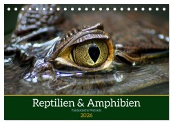 Reptilien & Amphibien Portraits (Tischkalender 2026 DIN A5 quer), CALVENDO Monatskalender - Klaus Vartzbed