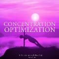 Concentration optimization - Frédéric Garnier