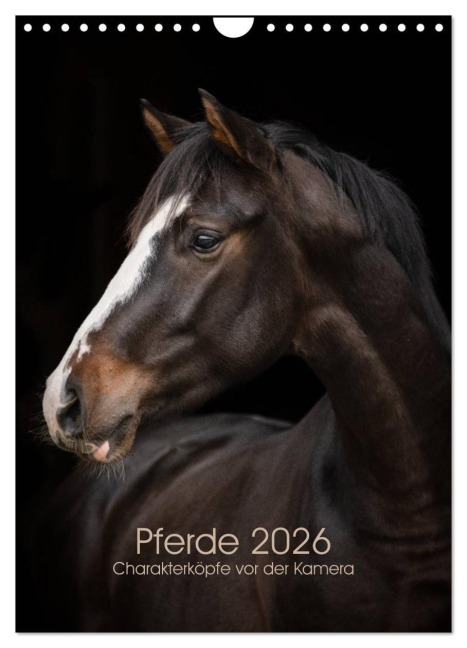 Pferde 2026 - Charakterköpfe vor der Kamera (Wandkalender 2026 DIN A4 hoch), CALVENDO Monatskalender - Paula Müller