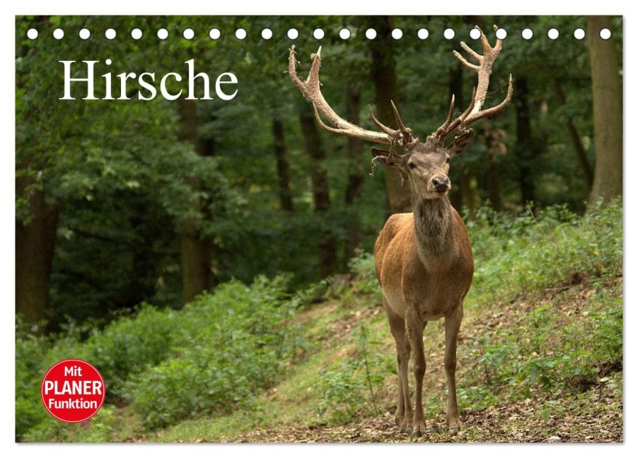 Hirsche (Tischkalender 2026 DIN A5 quer), CALVENDO Monatskalender - Arno Klatt