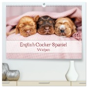 Cover-Bild zum Titel 'English Cocker Spaniel Welpen (hochwertiger Premium Wandkalender 2026 DIN A2 quer), Kunstdruck in Hochglanz' von 'Sabrina Wobith Photography - FotosVonMaja'