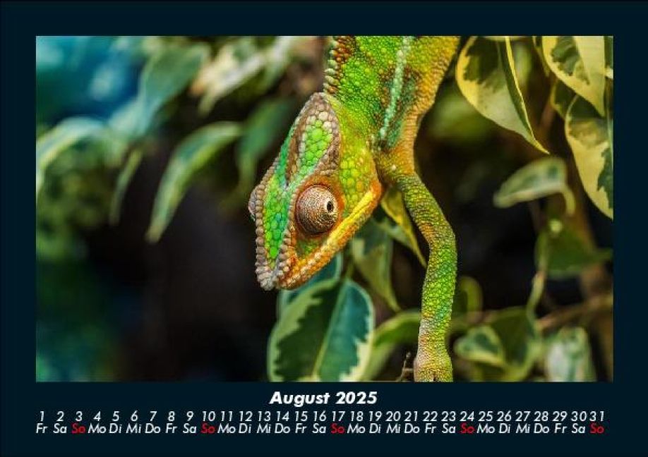 InsideView 12