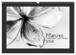 Cover-Bild zum Titel 'Pflanzen in Schwarz und Weiß (Wandkalender 2026 DIN A3 quer), CALVENDO Monatskalender' von 'Kirsten Karius'