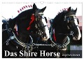 Das Shire Horse. Impressionen (Wandkalender 2024 DIN A3 quer), CALVENDO Monatskalender - Elisabeth Stanzer