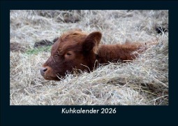 Cover-Bild zum Titel 'Kuhkalender 2026 Fotokalender DIN A5' von 'Tobias Becker'