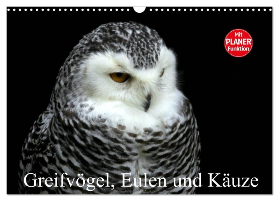 Greifvögel, Eulen und Käuze (Wandkalender 2026 DIN A3 quer), CALVENDO Monatskalender - Arno Klatt