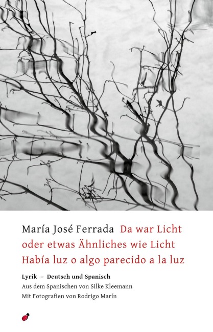 Da war Licht oder etwas Ähnliches wie Licht / Había luz o algo parecido a la luz - María José Ferrada