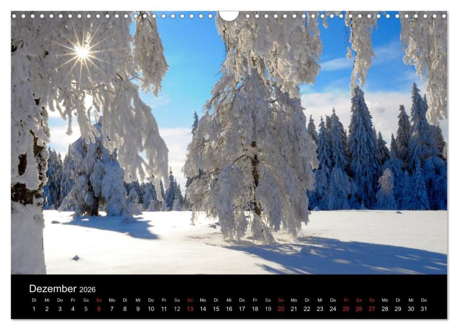 InsideView 4