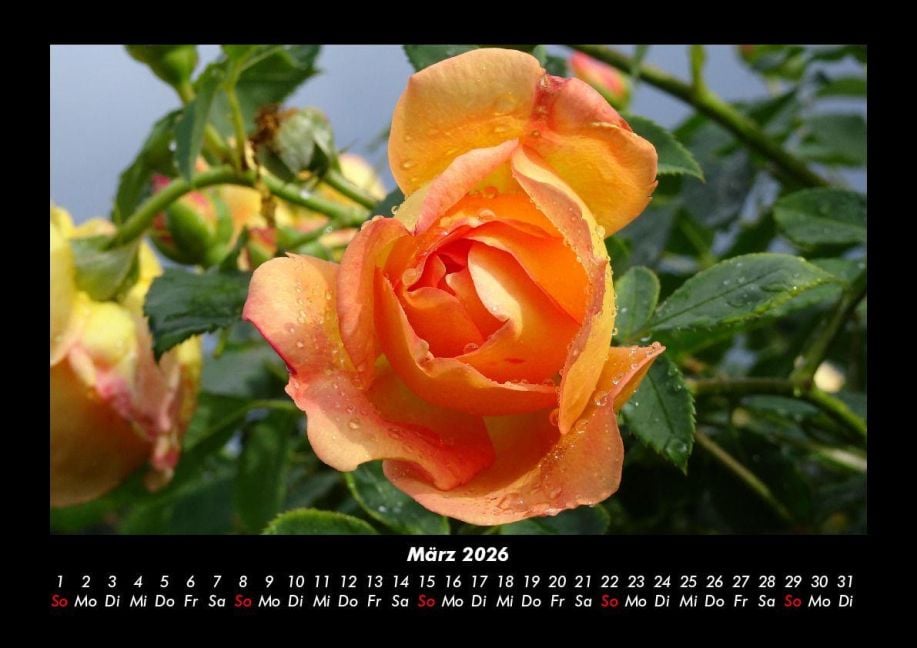 InsideView 7