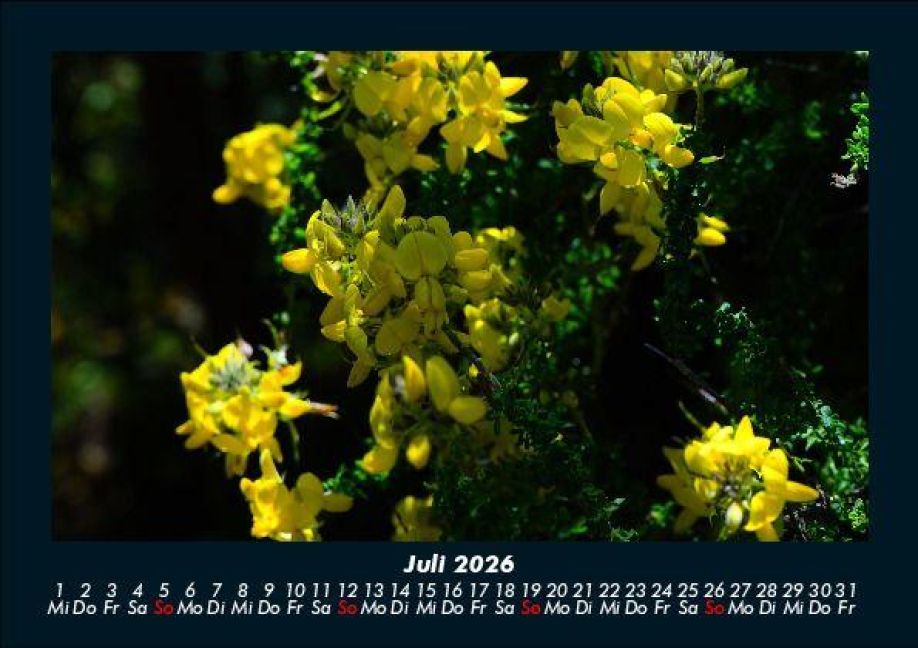 InsideView 11