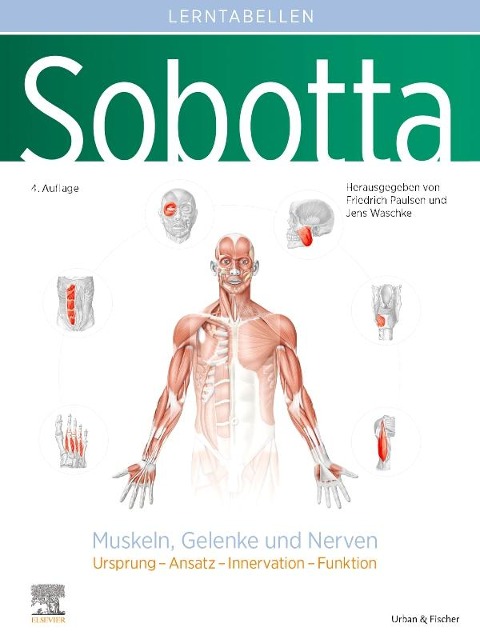 Sobotta Lerntabellen Anatomie Muskeln, Gelenke und Nerven - 