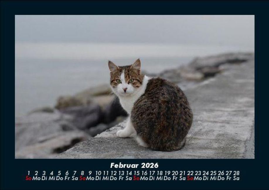 InsideView 6