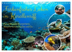 Cover-Bild zum Titel 'Farbenfrohes Leben im Korallenriff (Wandkalender 2026 DIN A4 quer), CALVENDO Monatskalender' von 'Claudia Kleemann'