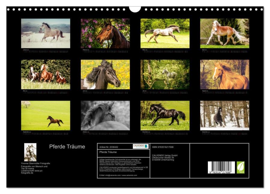 InsideView 5