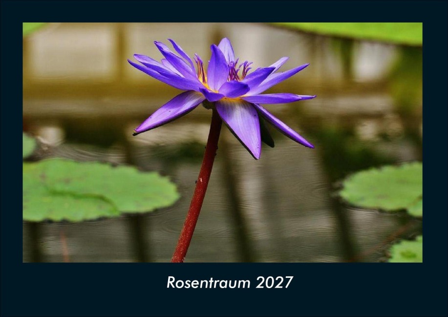 Rosentraum 2027 Fotokalender DIN A4 - Tobias Schmitt, Kevin Heber