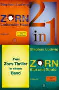 Cover-Bild zum Titel 'Lodernder Hass / Blut und Strafe - Zwei Zorn-Thriller in einem Band' von 'Stephan Ludwig'