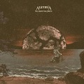 Cover-Bild zum Titel 'The Moon has Fallen' von 'Alithia'