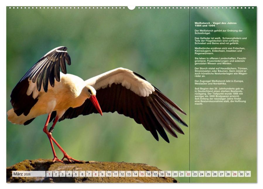 InsideView 7