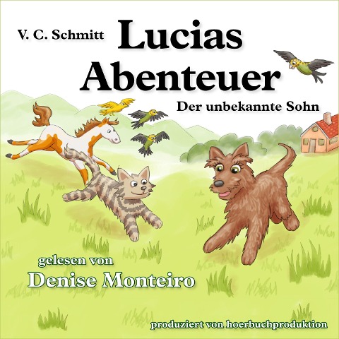 Lucias Abenteuer - V. C. Schmitt