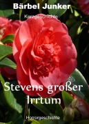 Stevens großer Irrtum - Bärbel Junker