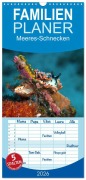 Cover-Bild zum Titel 'Familienplaner 2026 - Meeres-Schnecken mit 5 Spalten (Wandkalender, 21 x 45 cm) CALVENDO' von 'Ute Niemann'