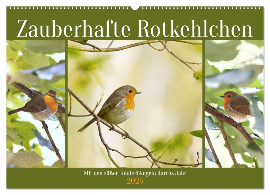 Zauberhafte Rotkehlchen (Wandkalender 2025 DIN A2 quer), CALVENDO Monatskalender - Sabine Löwer