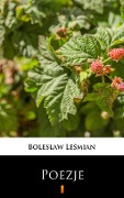 Poezje - Boleslaw Lesmian