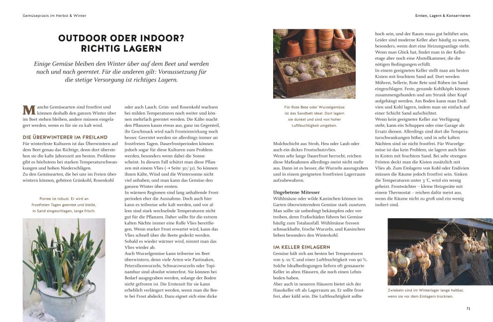 InsideView 5