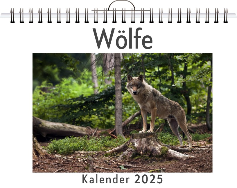 Wölfe - Ava Kaiser