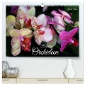 Beliebte Orchideen (hochwertiger Premium Wandkalender 2025 DIN A2 quer), Kunstdruck in Hochglanz - Gisela Kruse