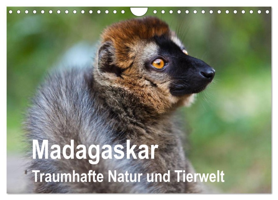 Madagaskar. Traumhafte Natur und Tierwelt (Wandkalender 2026 DIN A4 quer), CALVENDO Monatskalender - Sabine Reuke