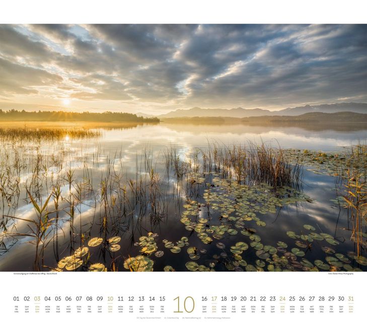 InsideView 10