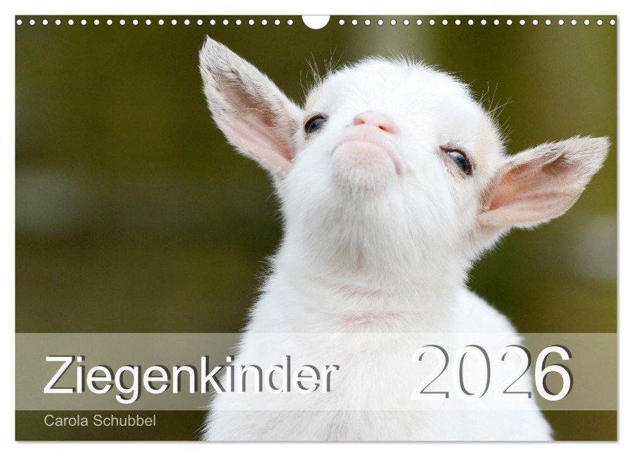 Ziegenkinder (Wandkalender 2026 DIN A3 quer), CALVENDO Monatskalender - Carola Schubbel