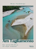 Cover-Bild zum Titel 'Am Tagliamento' von 'Werner Freudenberger'