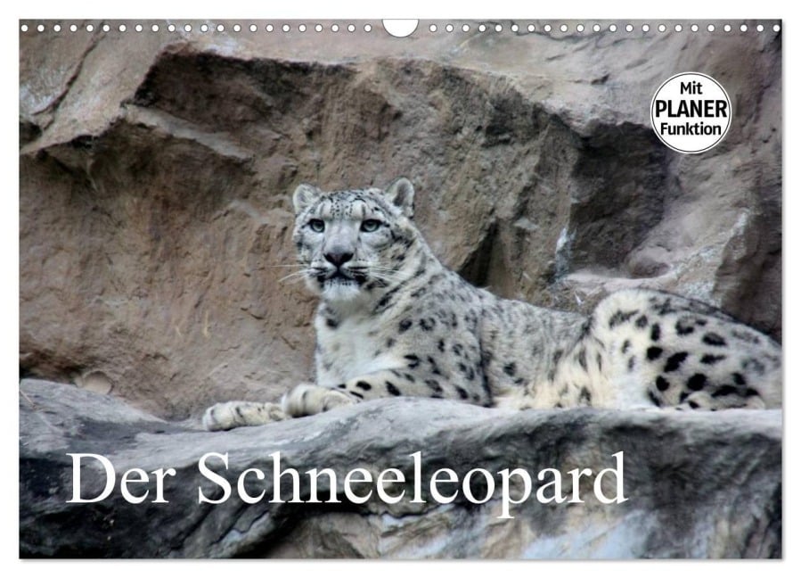 Der Schneeleopard (Wandkalender 2026 DIN A3 quer), CALVENDO Monatskalender - Arno Klatt