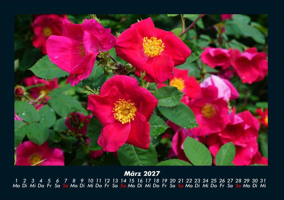 InsideView 7