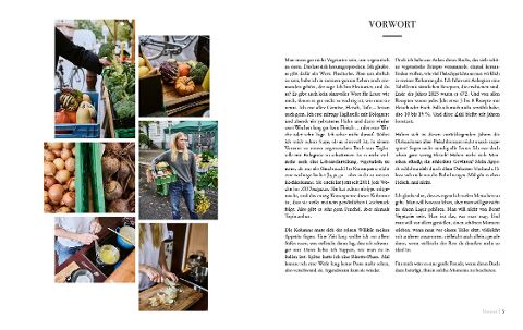 InsideView 2