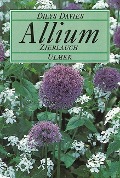 Allium, Zierlauch - Dilys Davies