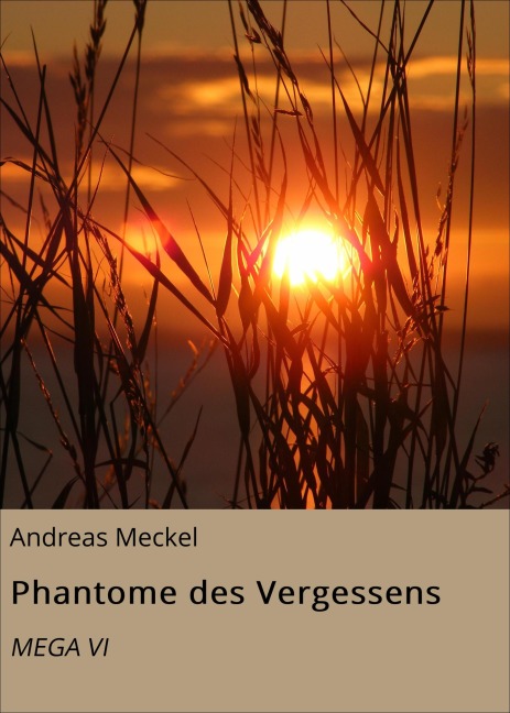 Phantome des Vergessens - Andreas Meckel