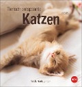 Tierisch entspannte Katzen Postkartenkalender 2025 - 