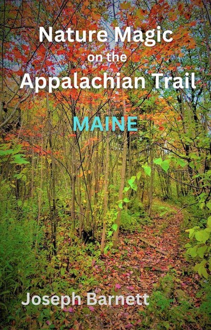 Nature Magic on the Appalachian Trail Maine - Joseph Barnett