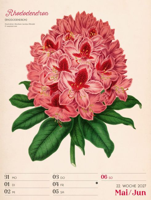 InsideView 26