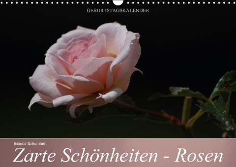 Zarte Schönheiten - Rosen (Wandkalender immerwährend DIN A3 quer) - Bianca Schumann