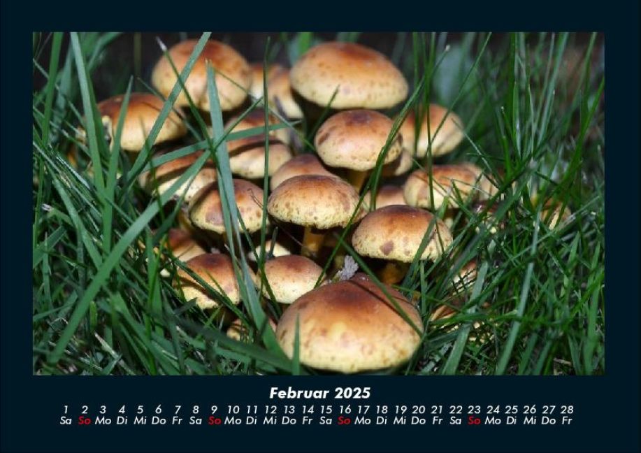 InsideView 6