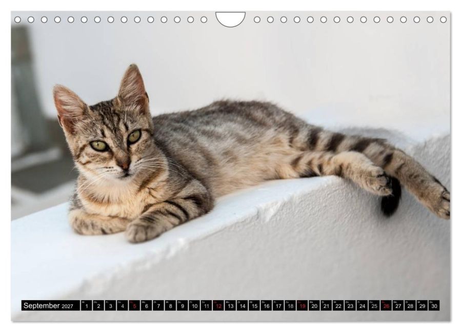 InsideView 14