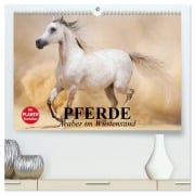 Pferde. Araber im Wüstensand (hochwertiger Premium Wandkalender 2026 DIN A2 quer), Kunstdruck in Hochglanz - Elisabeth Stanzer