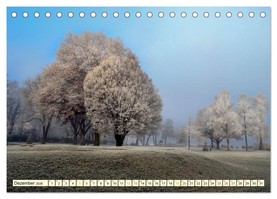 InsideView 4