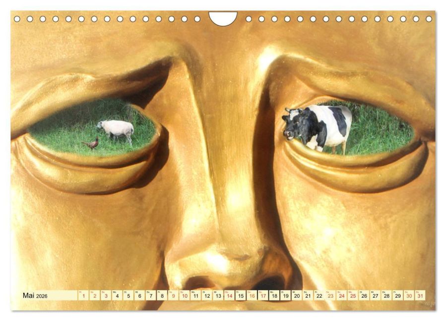 InsideView 10