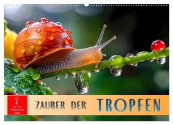 Cover-Bild zum Titel 'Zauber der Tropfen (Wandkalender 2026 DIN A2 quer), CALVENDO Monatskalender' von 'Peter Roder'